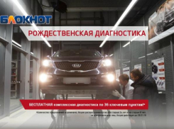 Рождественская диагностика в агат KIA