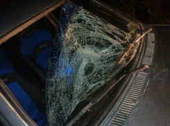 В Волгоградской области автоледи сбила пешехода на обочине