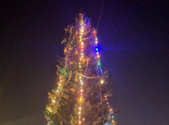 Две елки и светодиодный олень украсили поселок Краснооктябрьский к Новому Году