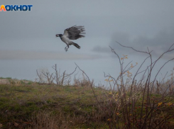 Адский ветер и метель придут в Волжский: предупреждение