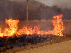 В Волжском весна грозит пожарами
