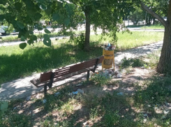 Благоустройте бульвар для прогулок с детьми! О чем волжане просят администрацию