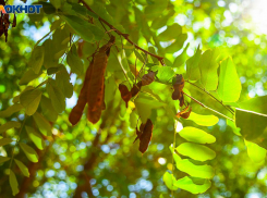 Понедельник будет безоблачным