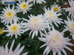 Конфликты на работе предрекает волжанам астролог 16 ноября