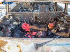 16 жалоб на трупный запах и другую вонь поступило экологам Волжского за неделю