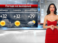 Волжане будут охранять природу на выходных: прогноз погоды
