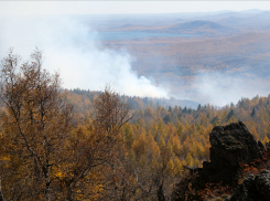 Пожар в Чернобыльской зоне отчуждения подошел к хранилищам с радиоактивными отходами