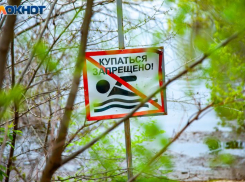 Она боролась за жизнь до последнего: под мостом близ Волжского спасли девушку 