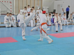 В Волжском прошло открытое первенство по карате киокусинкай