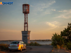 Зачем вешать над дверью чернокнижное растение: народные приметы для волжан