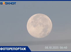 Суперлуние в Волжском: уникальное астрономическое событие попало в объектив фотографа 
