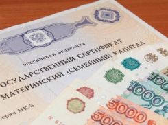 За выплатами материнского капитала обратились уже свыше 200 волжан