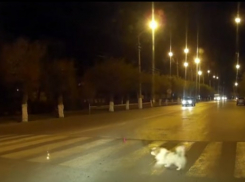 В Камышине собака продемонстрировала водителям знание ПДД