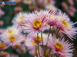 Удачный день для вложений обещают звезды волжанам: астрологический прогноз на среду