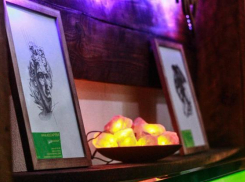 Картины молодых художников волжским зрителям презентовали креативно