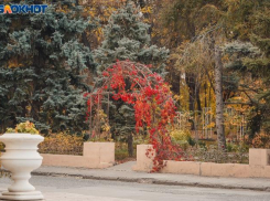 Воскресенье в Волжском будет холодным и солнечным