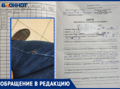 «Мы знаем о данной проблеме, но сделать ничего не можем»: в парке Волжского собака прокусила ногу мужчине
