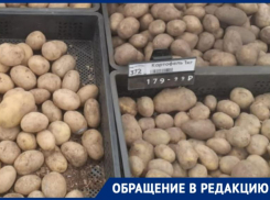 96% опрошенных волжан не могут позволить себе килограмм картофеля