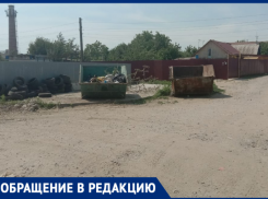 «Волжане несут отсортированный мусор, а контейнер для пластика убрали», - житель острова Зеленый