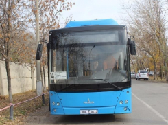 По дорогам Волжского будут ездить еще семь новых автобусов