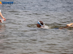 Жизнь под угрозой: как действовать при перегреве организма