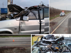 От столкновения с лошадью на трассе погиб 36-летний водитель ВАЗа