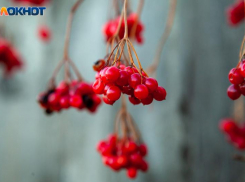 Неделя начнется с дождя и ветра: прогноз погоды в Волжском