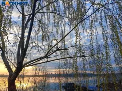 Вторник будет дождливым: прогноз погоды в Волжском