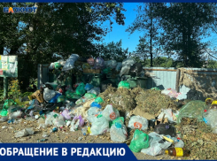 В Волжском образовалась свалка: жители жалуются на вывоз мусора в СНТ «Урожай»