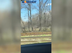 Горы мусора украшают обочины трасс Волжского: ВИДЕО