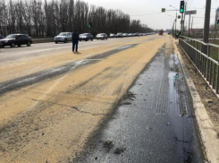 В Волжском виновнику 3-х аварий из-за разлитого на дороге масла придется возмещать и экологический ущерб