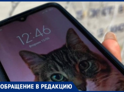 Мошенники в слезах названивают пожилым жителям Волжского