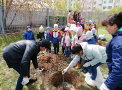Одиннадцать каштанов в знак единства и дружбы народов 