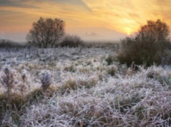 Синоптики пообещали холодную ночь в День Трифона и Пелагеи в Волжском 