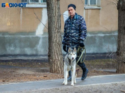 Непогода заявит о своих правах в Волжском в день мужской солидарности 