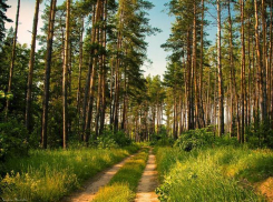 Неделя начнется с «летнего понедельника»