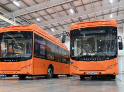 В День города волжан будут перевозить автобусы-шаттлы