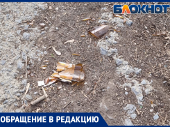 Сквер в Волжском зарос мусором: фото