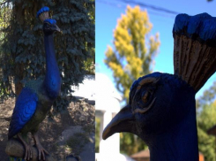 Пестрый павлин поселился в парке «ВГС» в Волжском