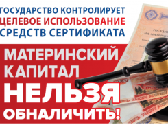Жителей региона предупреждают об ответственности за обналичивание маткапитала