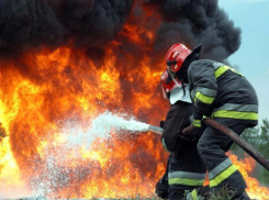 В два раза увеличилось количество возгорания мусора и сухостоя в Волжском 
