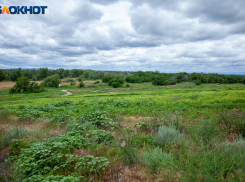 Гроза, град, шквалистый ветер: МЧС предупреждает о непогоде в Волжском