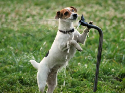 Четверг для волжан будет очень жарким