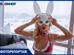 Такой зайчик растопит самые ледяные сердца: новогодний подарок Кати Каминской для волжан