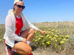 Мексиканского убийцу коров обнаружила волжанка в Астраханской степи