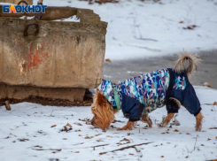 Раскрась вторник яркими красками: весна приходит в Волжский