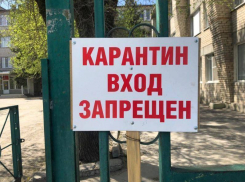 +40 заболевших COVID-19 выявили в Волжском за сутки