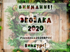 В регионе проводится конкурс на лучшую елку 