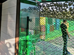 Подросткам дали шанс вернуть сворованное