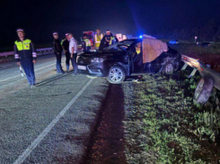 Смертельное ДТП под Михайловкой: водитель грузовика отправлен под домашний арест